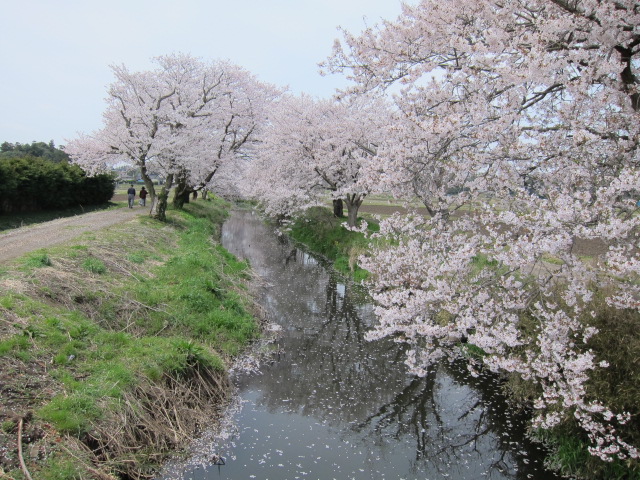 a0227507_0375274.jpg