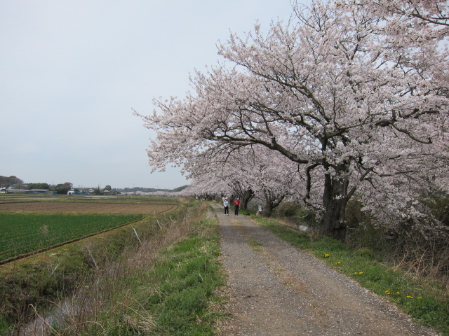 a0227507_1162976.jpg