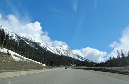 b0051109_16382256.jpg
