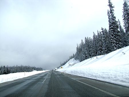 b0051109_16402072.jpg