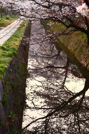 c0146510_21193993.jpg