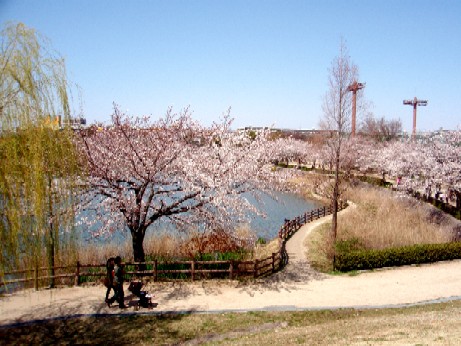 f0043911_16261464.jpg