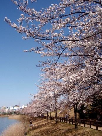 f0043911_16271759.jpg