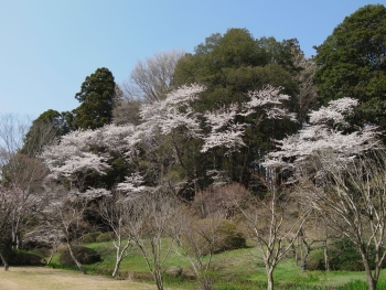 c0098813_1449517.jpg