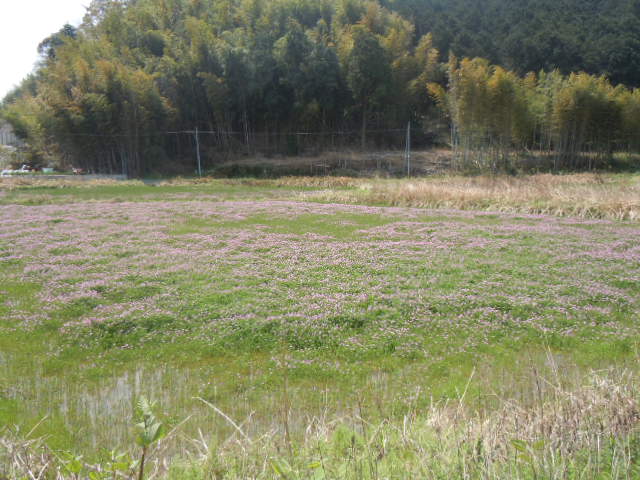 f0164515_0413070.jpg