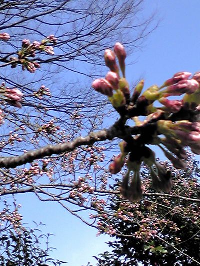 c0094218_20111917.jpg