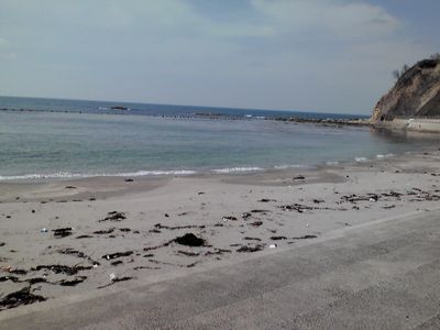 c0094218_20294991.jpg