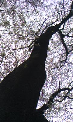 d0024220_1203100.jpg