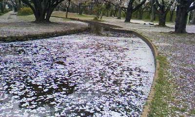 d0024220_121161.jpg