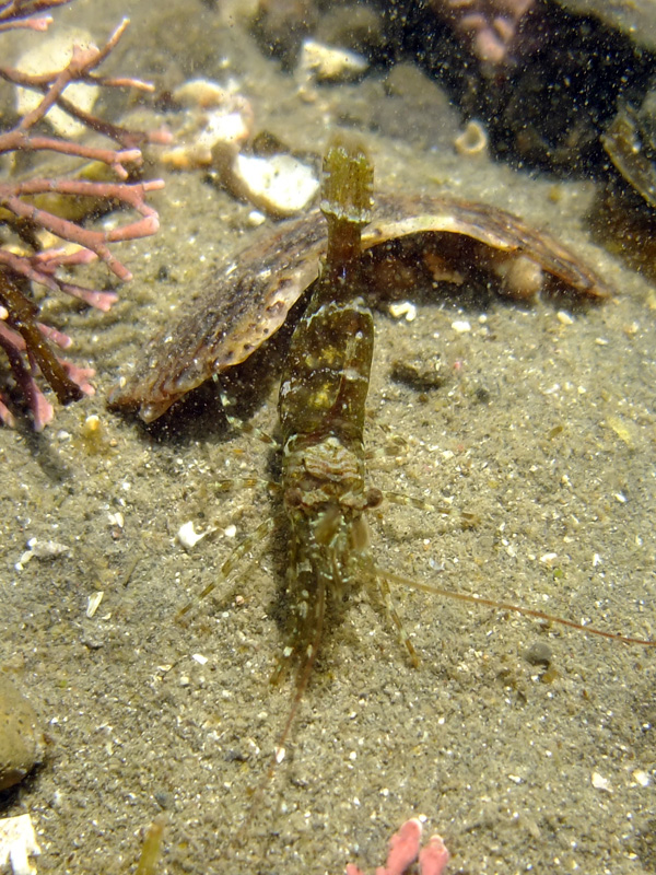e0189021_21295393.jpg