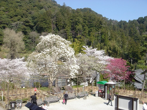 f0000521_3102012.jpg