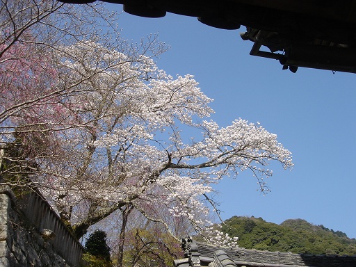 f0000521_3104538.jpg