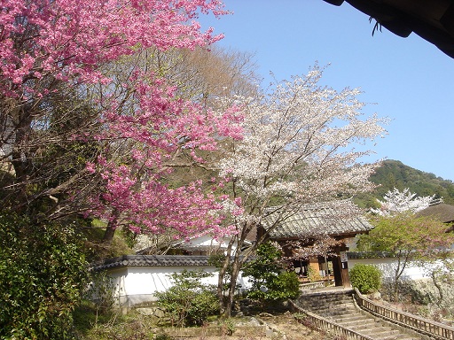 f0000521_311509.jpg