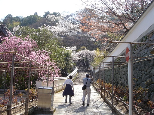 f0000521_311747.jpg