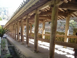 f0000521_3122492.jpg