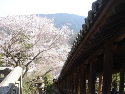 f0000521_314146.jpg