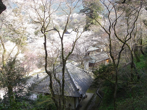 f0000521_3153013.jpg