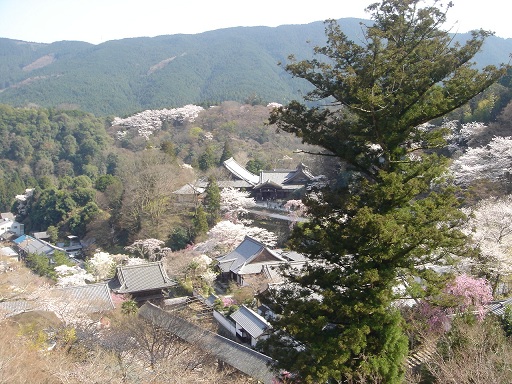 f0000521_315935.jpg