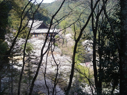 f0000521_317657.jpg