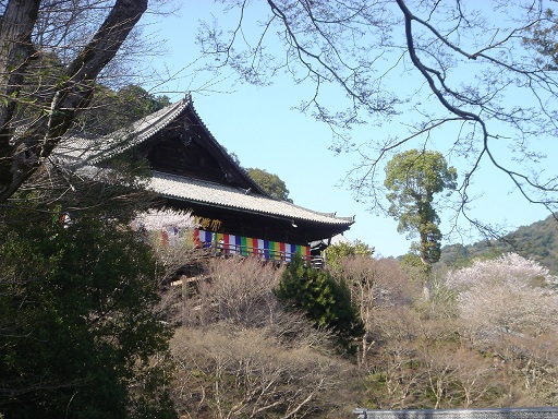 f0000521_3184474.jpg