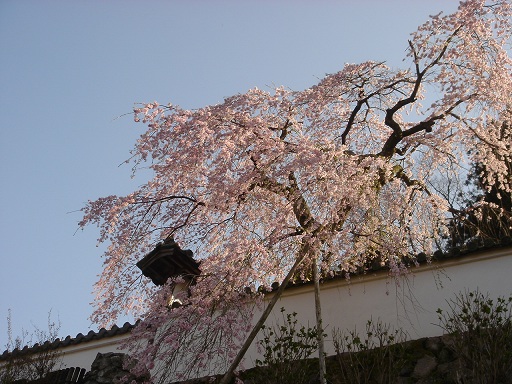 f0000521_3194441.jpg