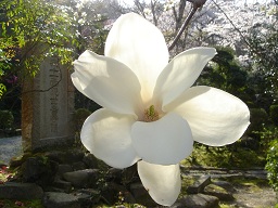 f0000521_3203337.jpg