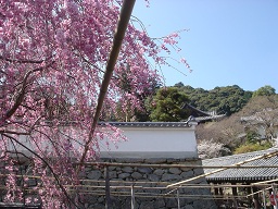 f0000521_3211374.jpg