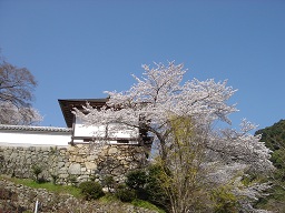 f0000521_3213682.jpg