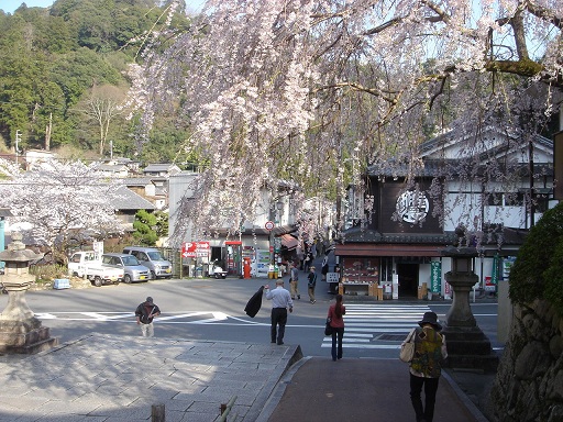 f0000521_3222076.jpg