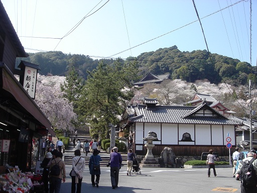 f0000521_343998.jpg