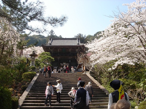 f0000521_381946.jpg