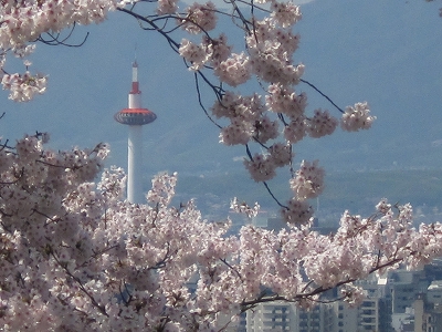 a0172222_1005244.jpg