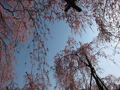 a0172222_10515746.jpg