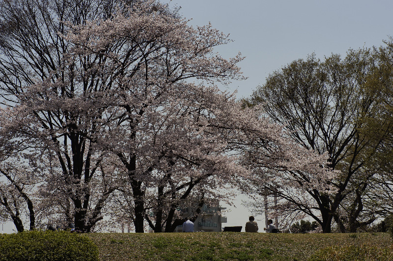 a0192923_17255282.jpg