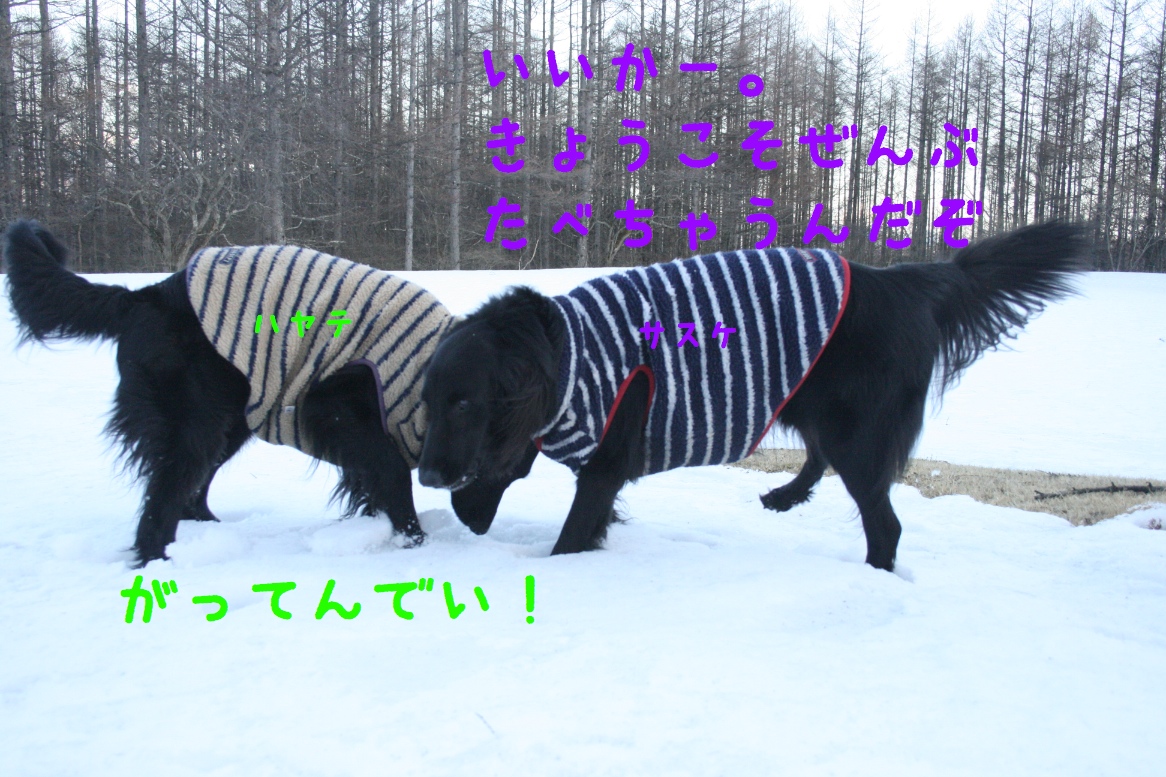 c0237824_22514364.jpg