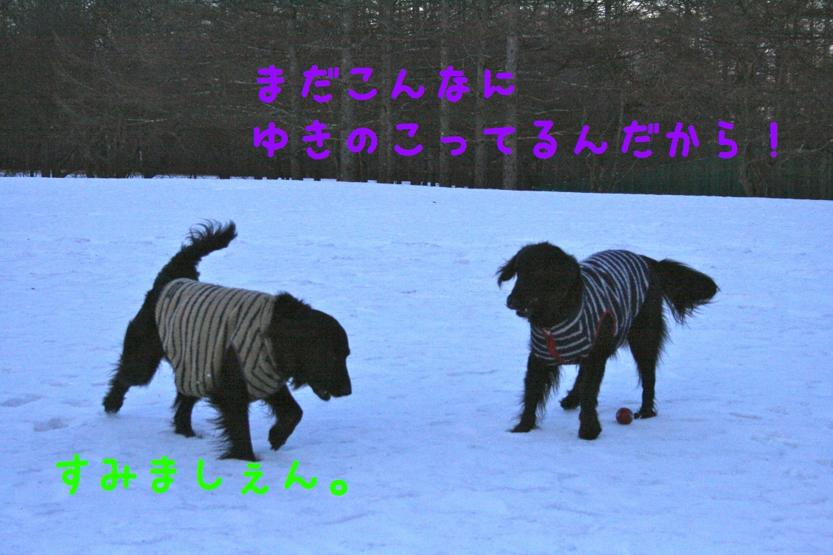 c0237824_22582016.jpg