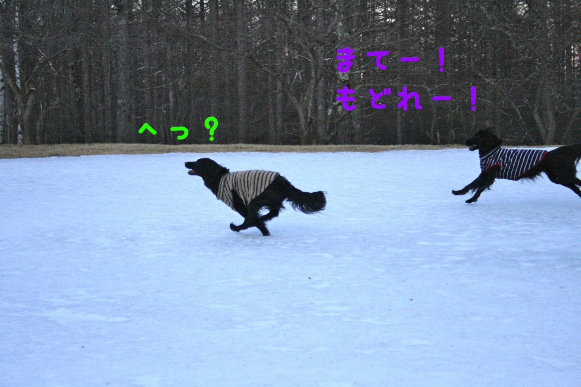 c0237824_23131073.jpg