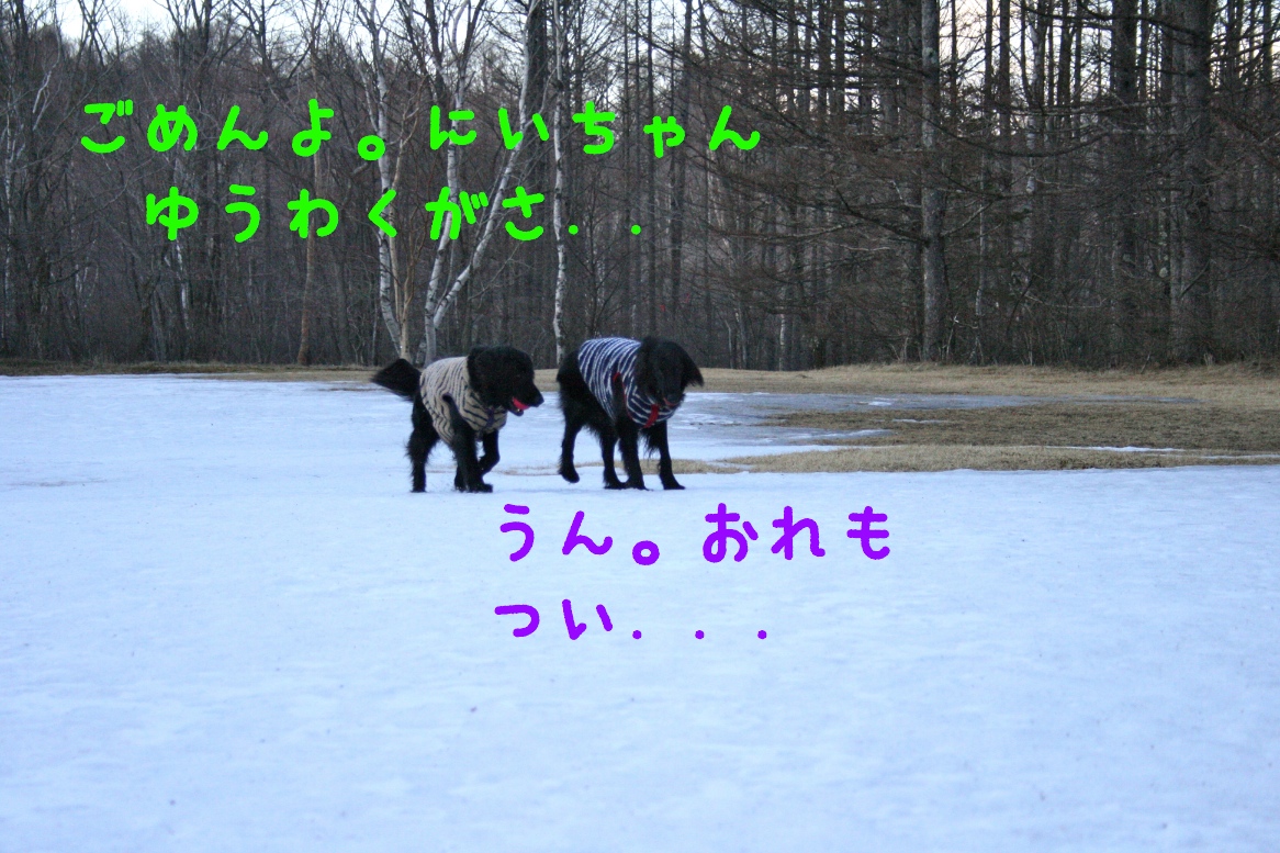 c0237824_23135030.jpg