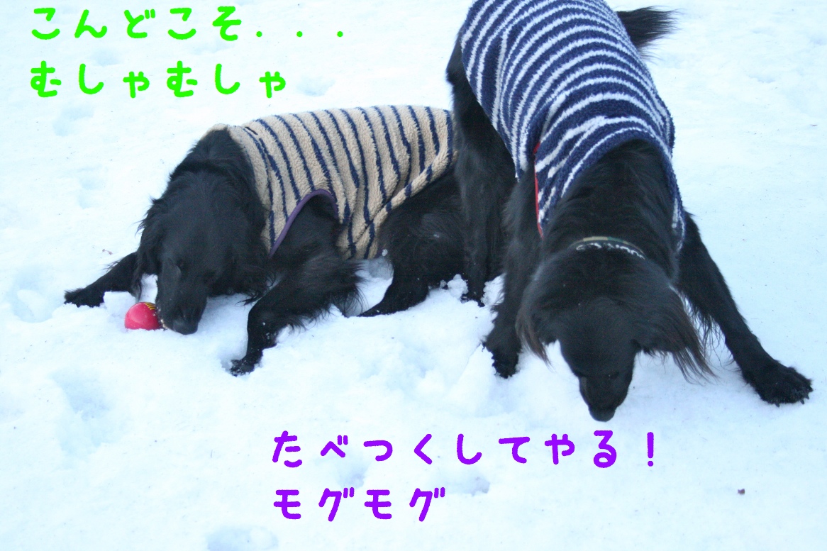 c0237824_23143877.jpg