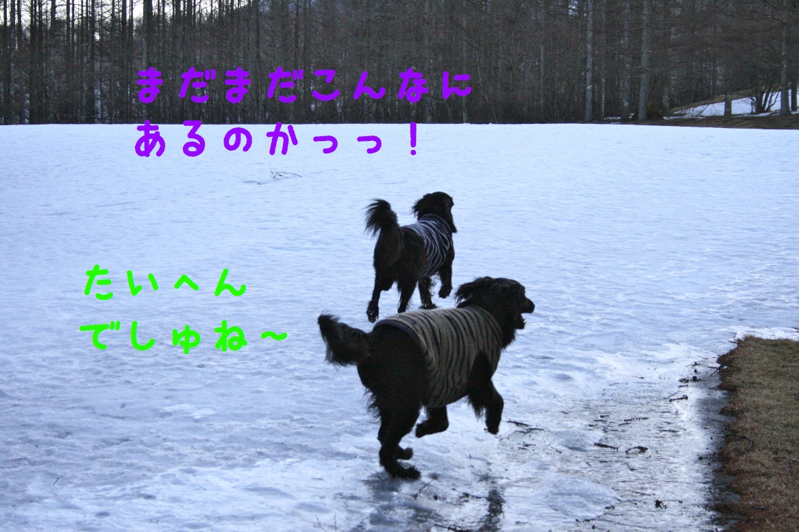 c0237824_23175890.jpg