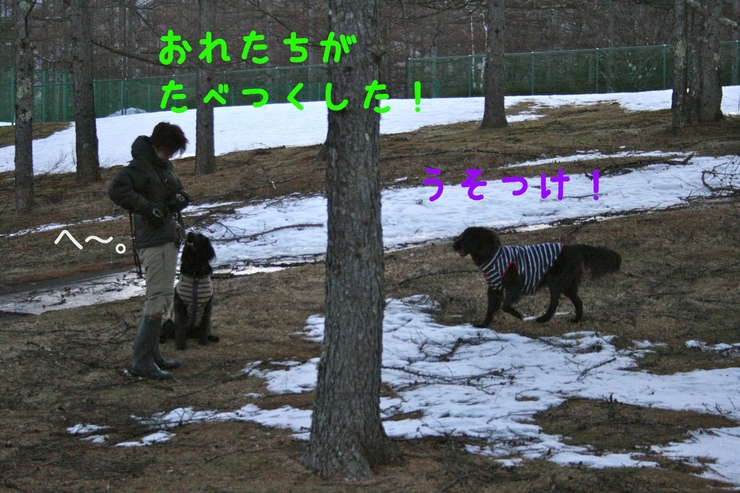 c0237824_23212671.jpg