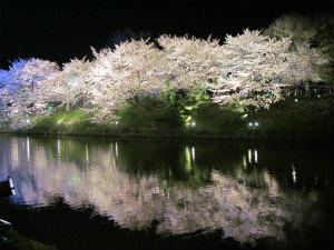 b0008825_9453352.jpg
