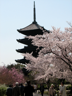 b0080027_951271.jpg
