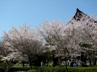 b0080027_9515799.jpg