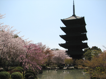 b0080027_9521158.jpg
