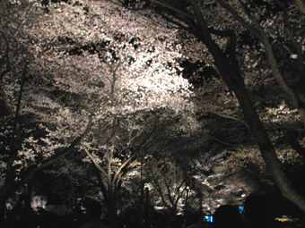 b0080027_9534910.jpg