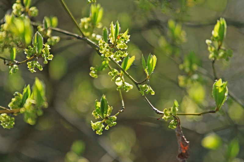 c0104227_2227142.jpg