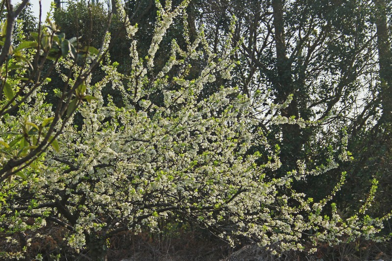 c0104227_23522743.jpg