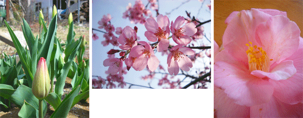 c0146127_132497.gif