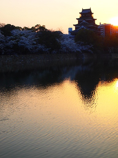 f0231829_8444041.jpg